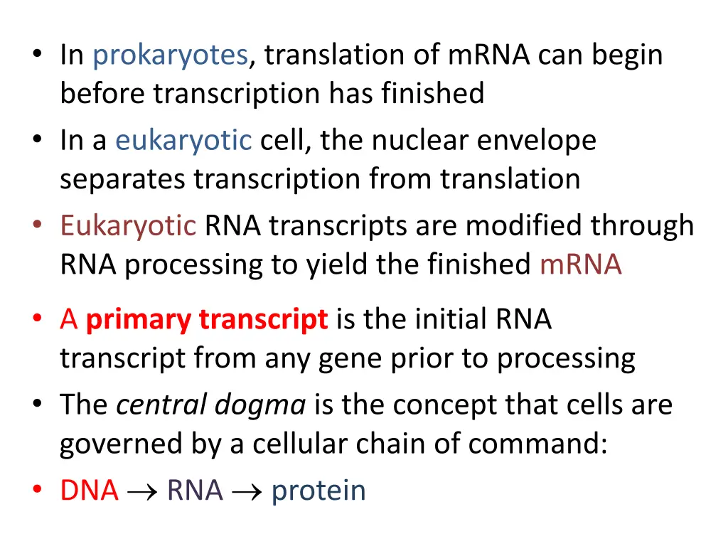 in prokaryotes translation of mrna can begin