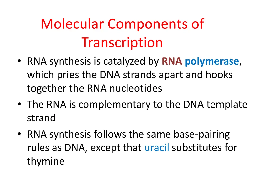 molecular components of transcription