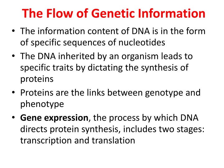 the flow of genetic information the information