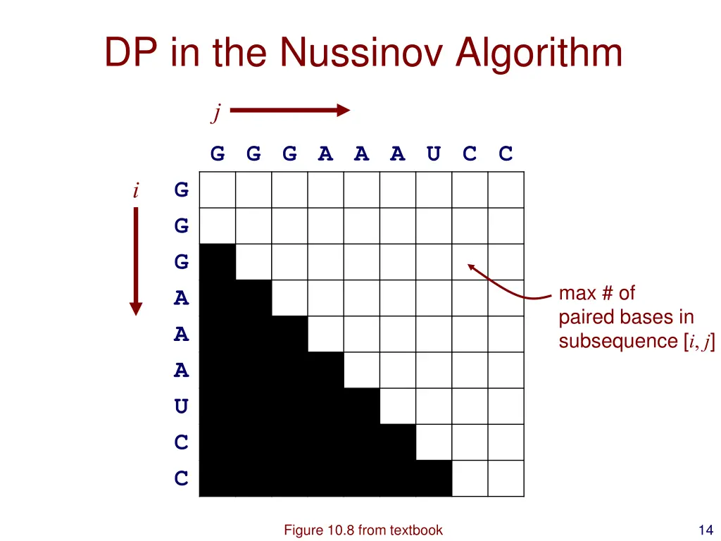 dp in the nussinov algorithm