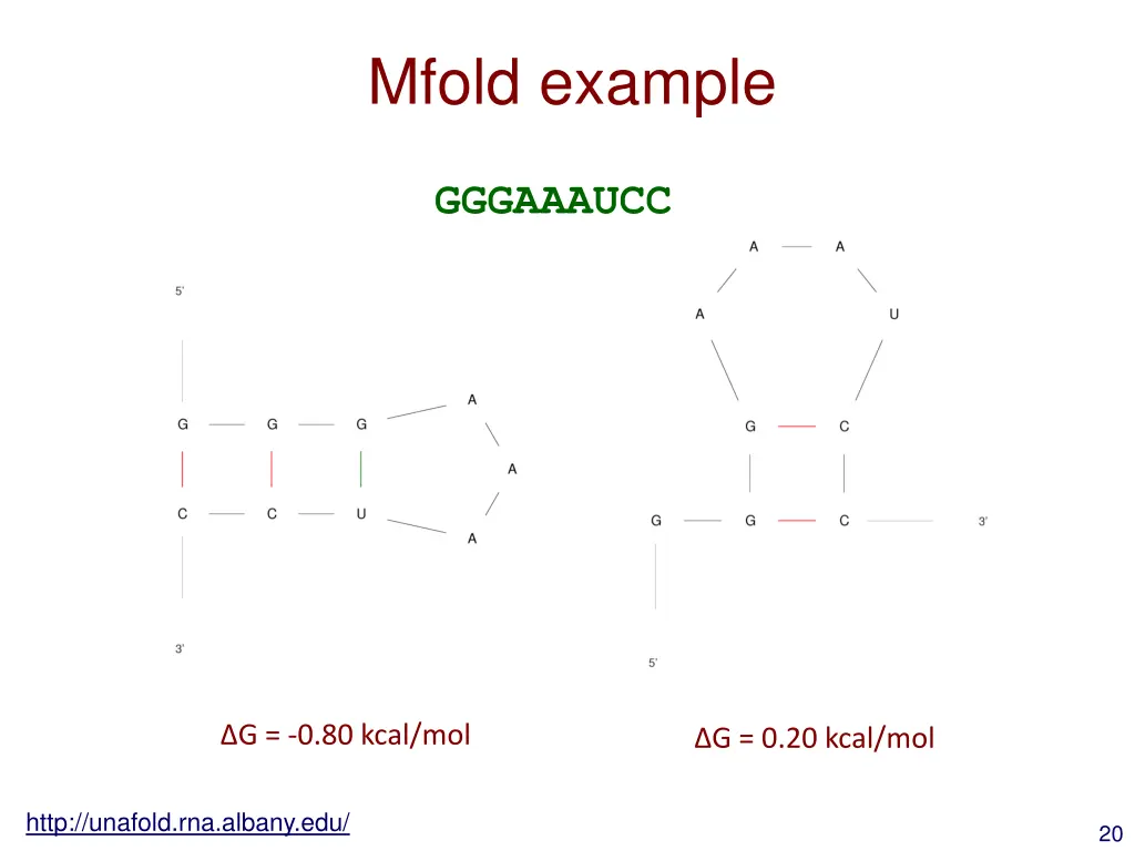 mfold example