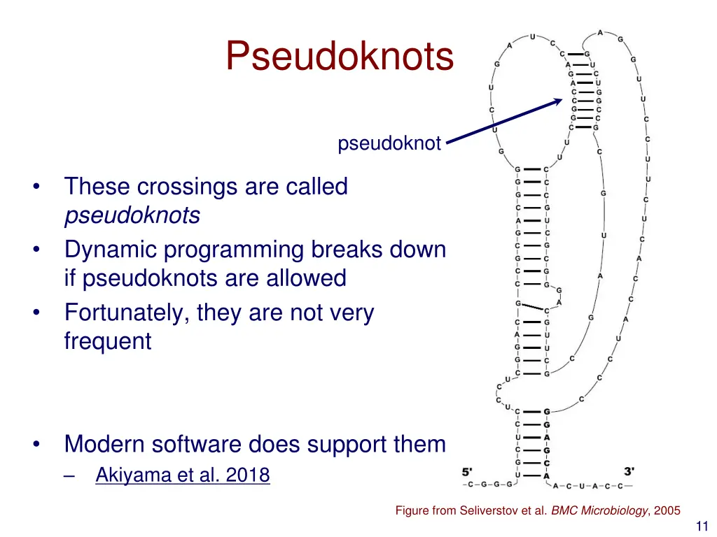 pseudoknots