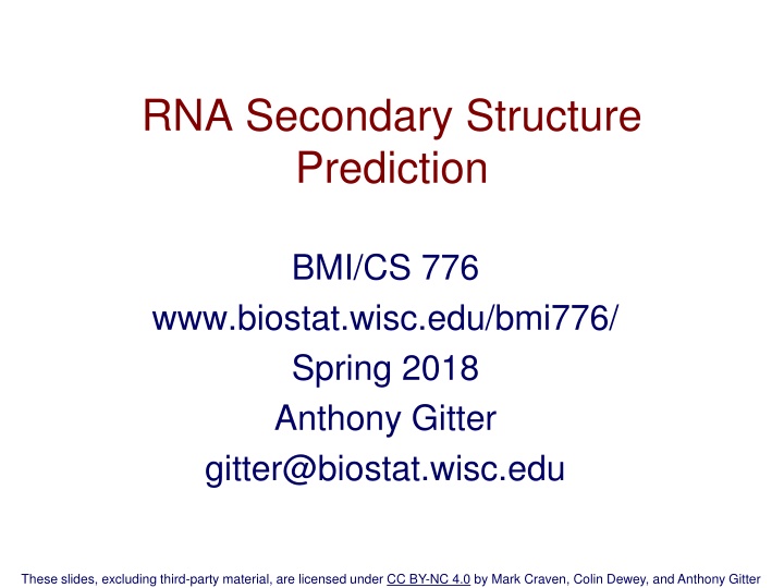 rna secondary structure prediction