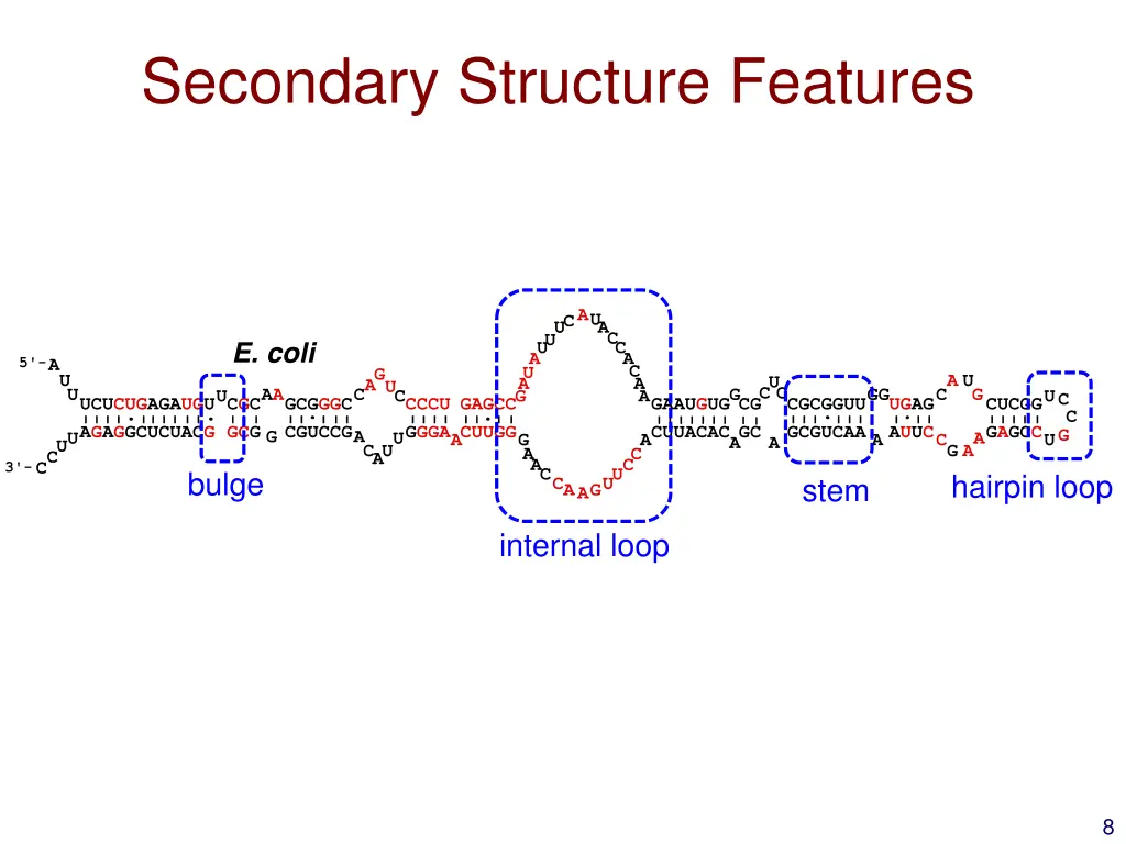 secondary structure features