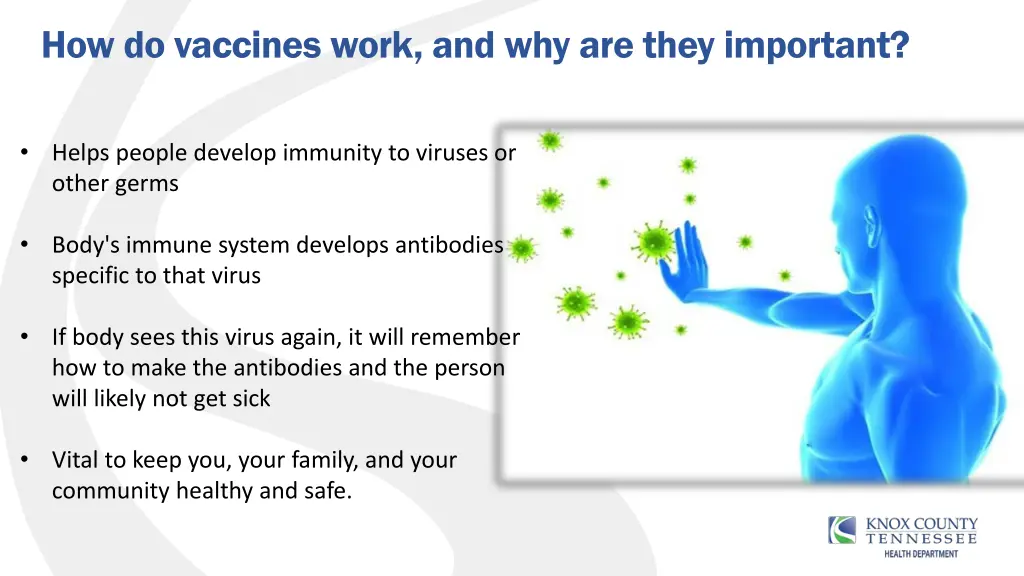 how do vaccines work and why are they important