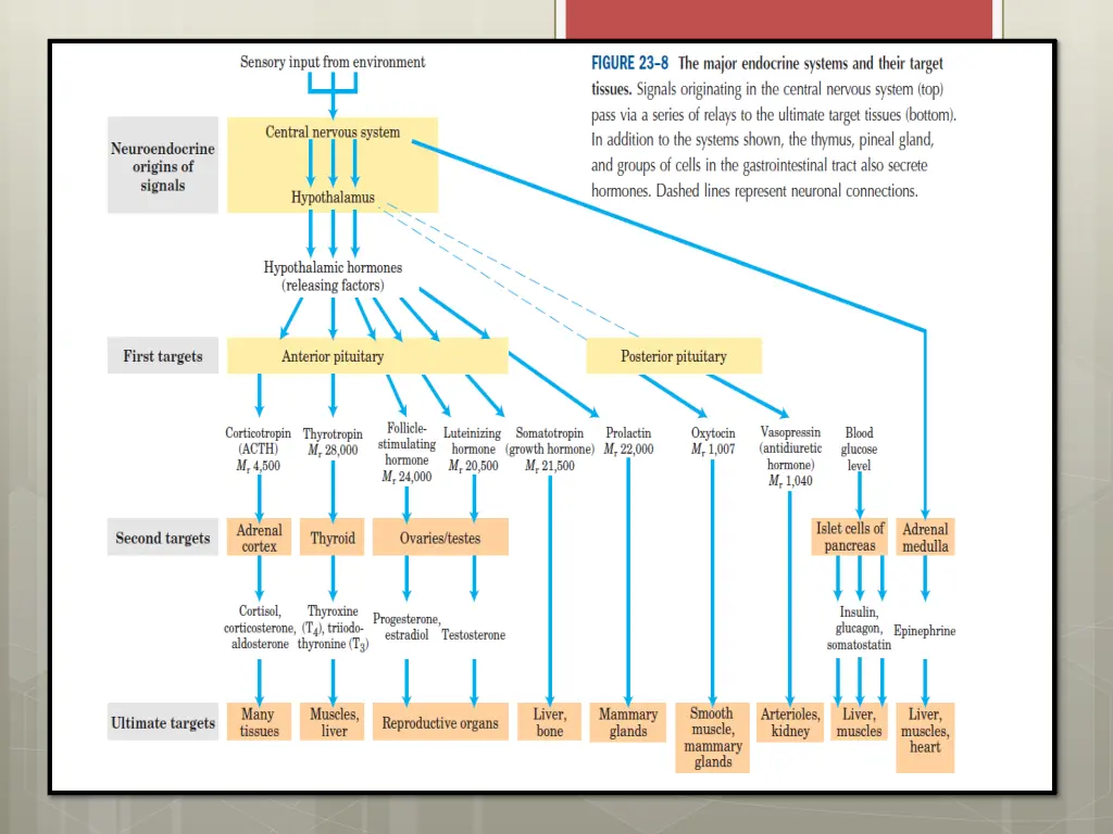 slide16