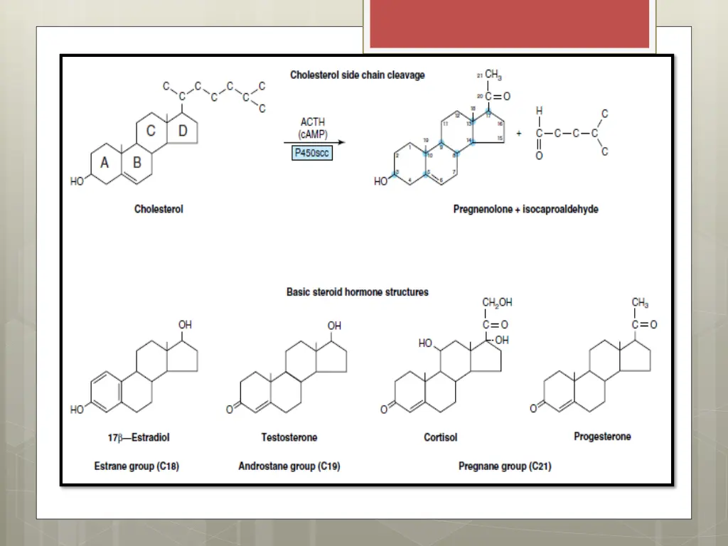 slide25