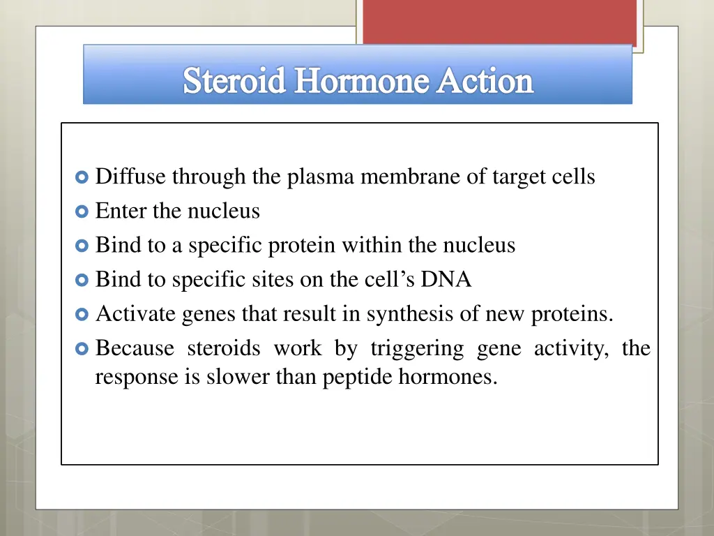 steroid hormone action