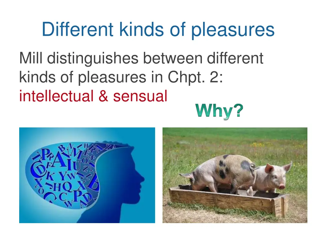 different kinds of pleasures