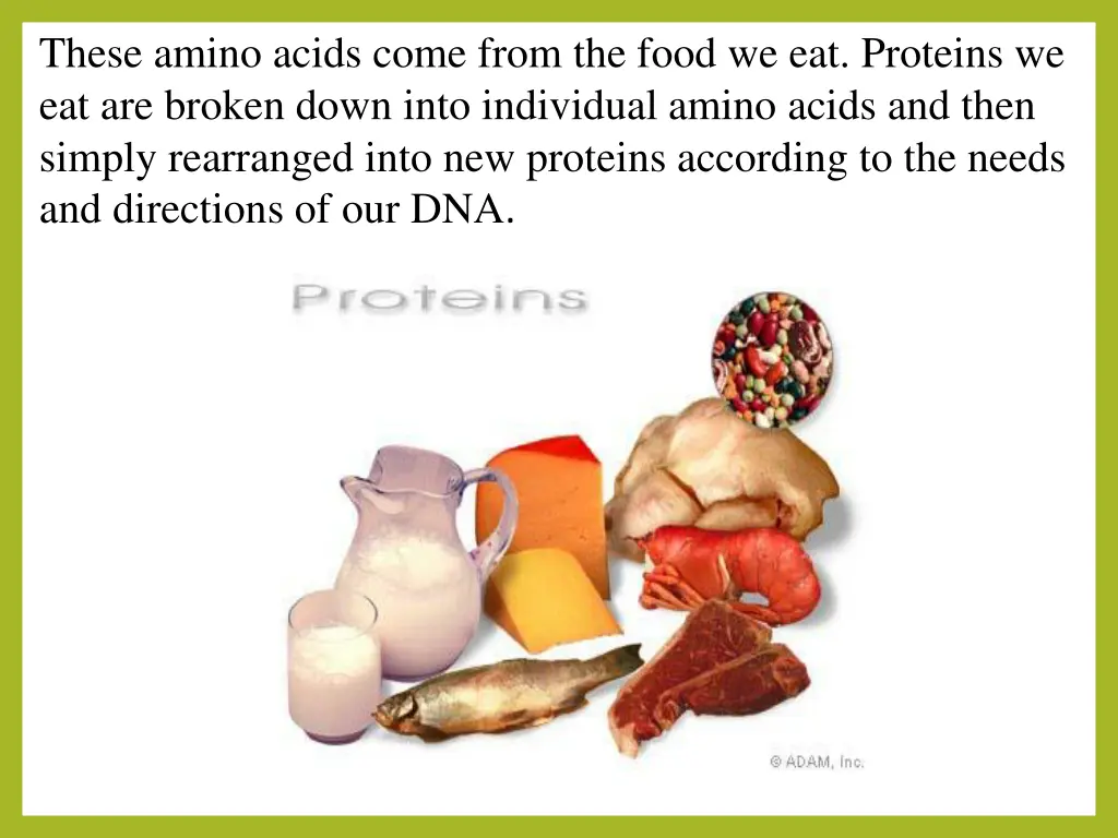 these amino acids come from the food