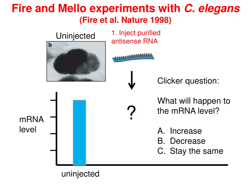 fire and mello experiments with c elegans fire