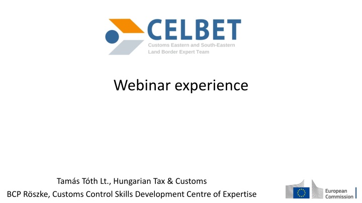 webinar experience