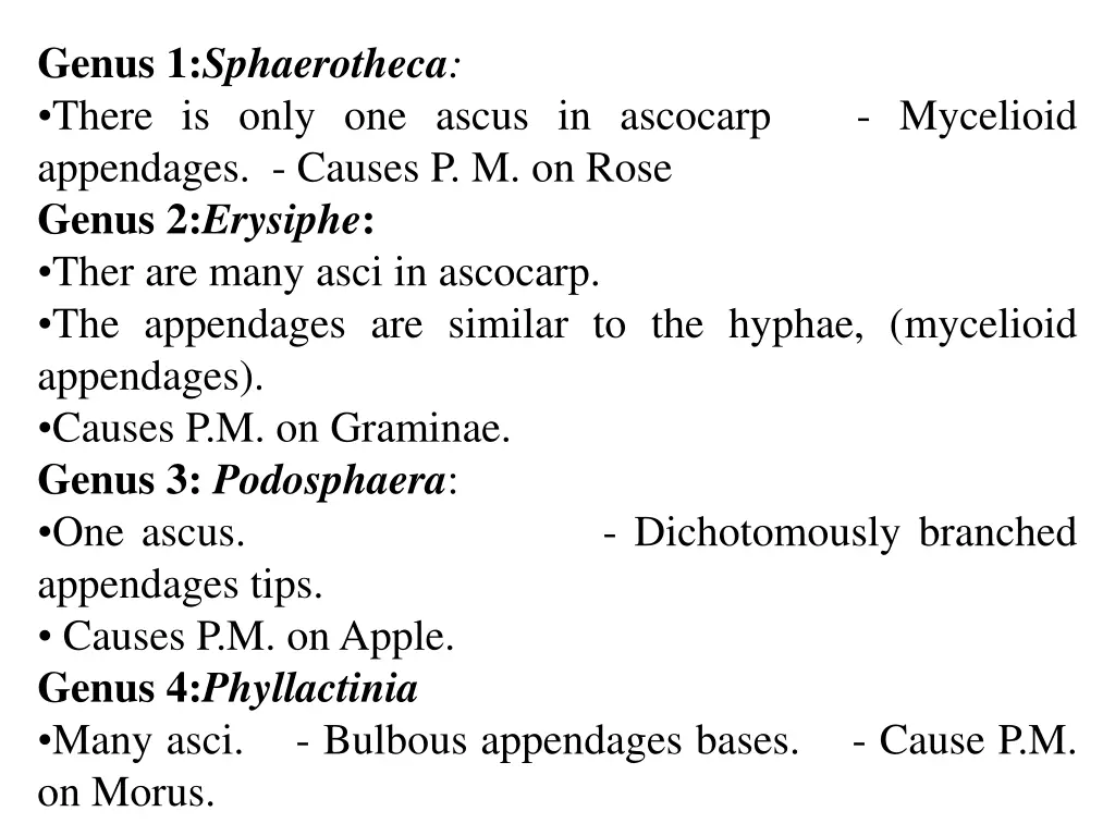 genus 1 sphaerotheca there is only one ascus