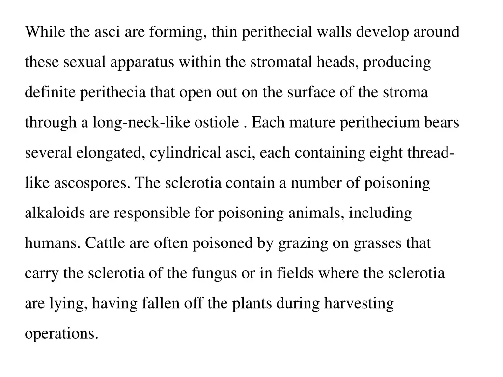 while the asci are forming thin perithecial walls