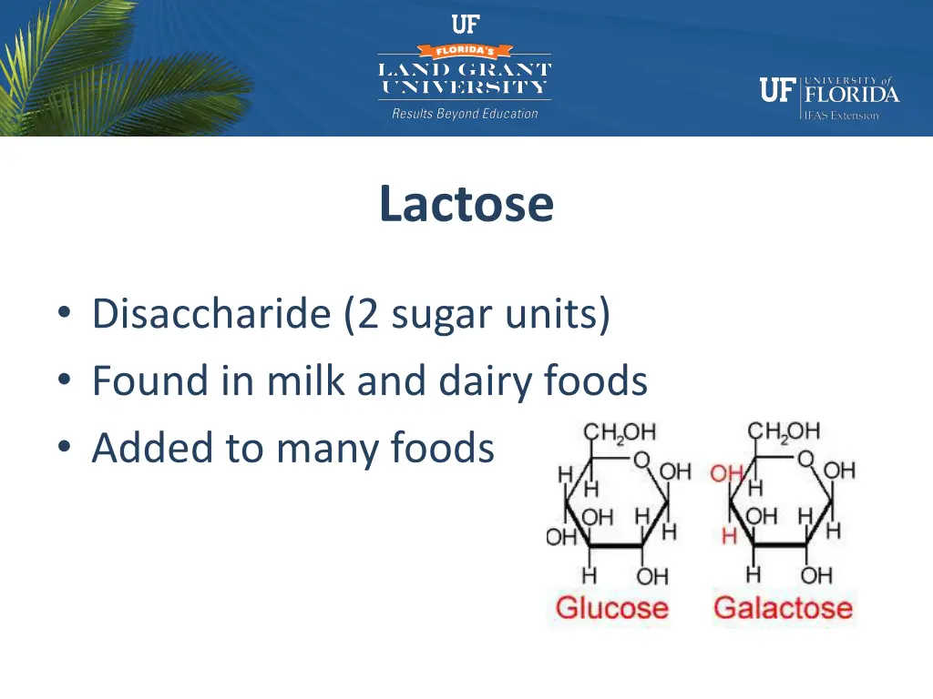 lactose