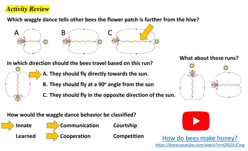 activity review