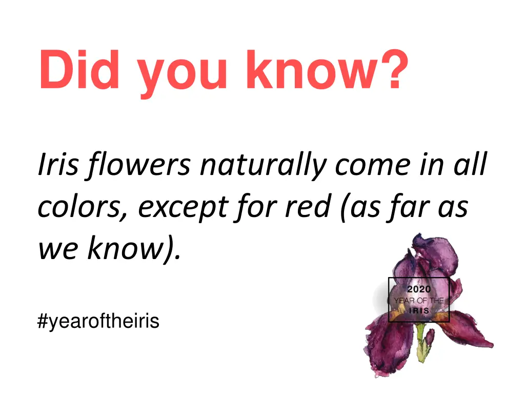 did you know 1