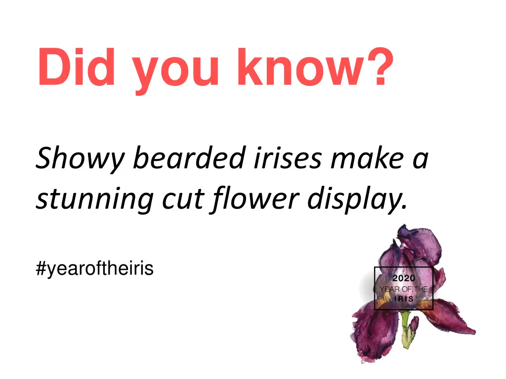 did you know 3