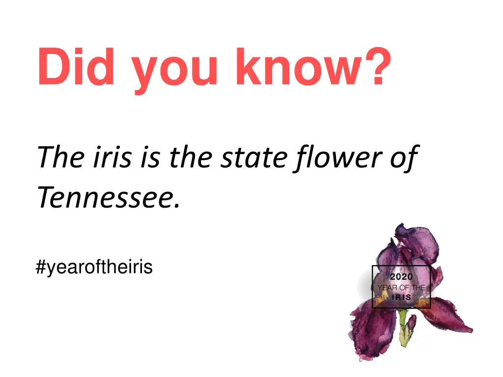 did you know 5