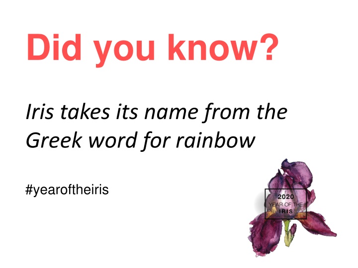 did you know