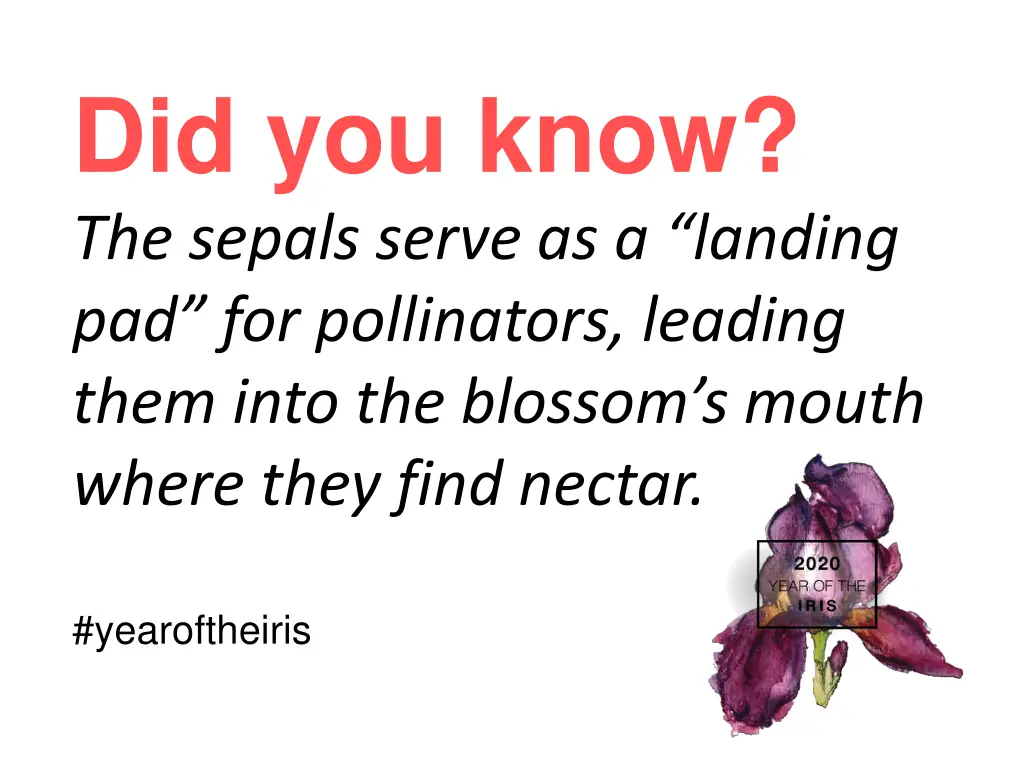 did you know the sepals serve as a landing