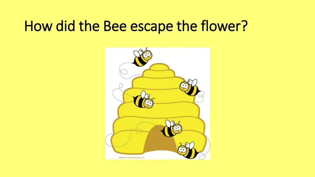 how did the bee escape the flower