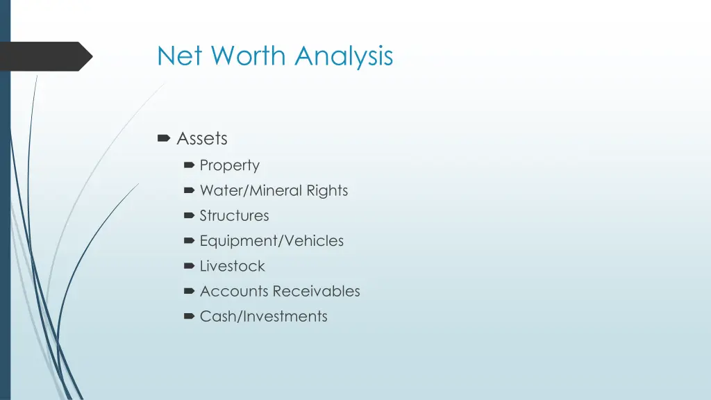 net worth analysis