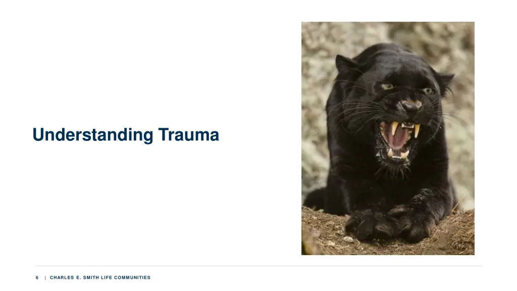 understanding trauma