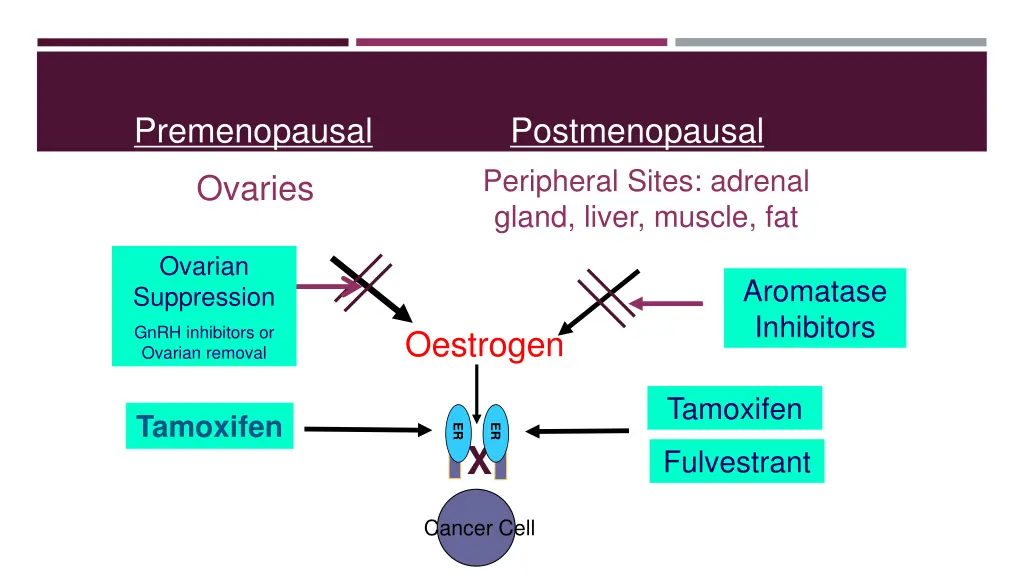 premenopausal