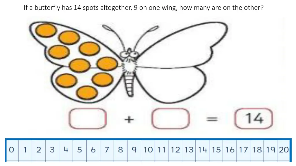 if a butterfly has 14 spots altogether