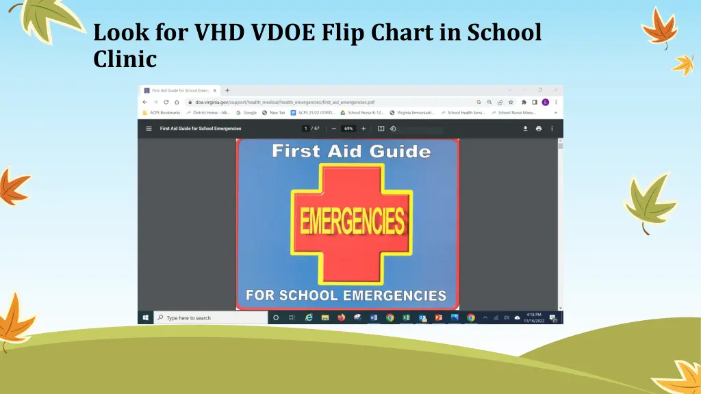 look for vhd vdoe flip chart in school clinic