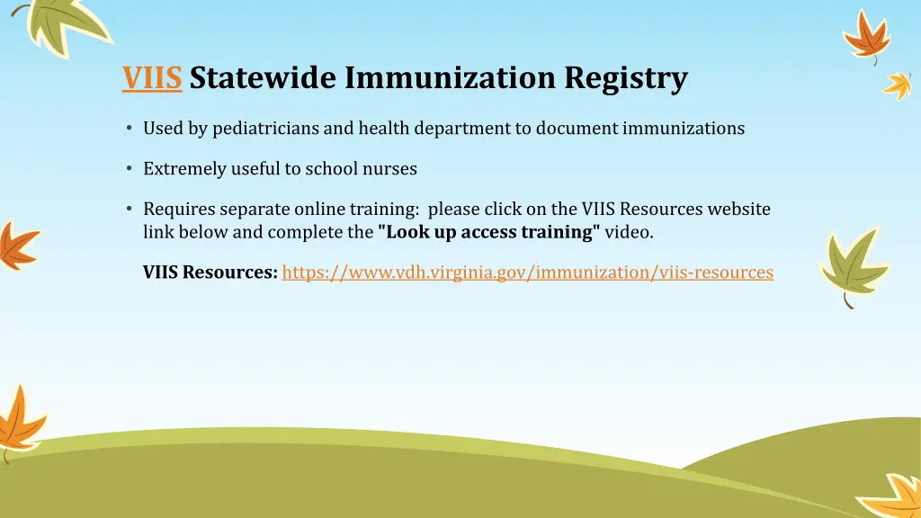 viis statewide immunization registry