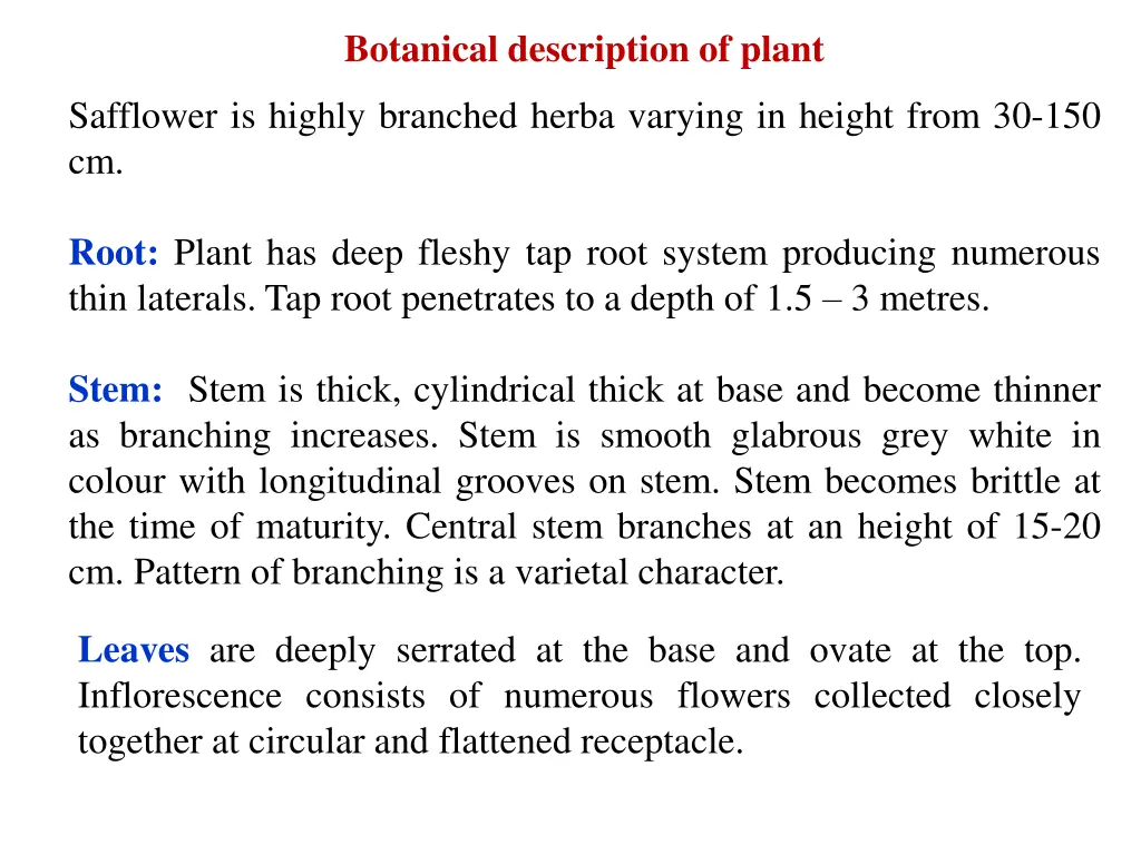 botanical description of plant