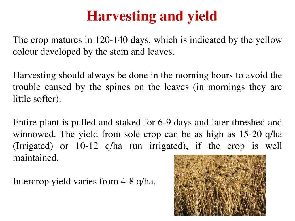 harvesting and yield