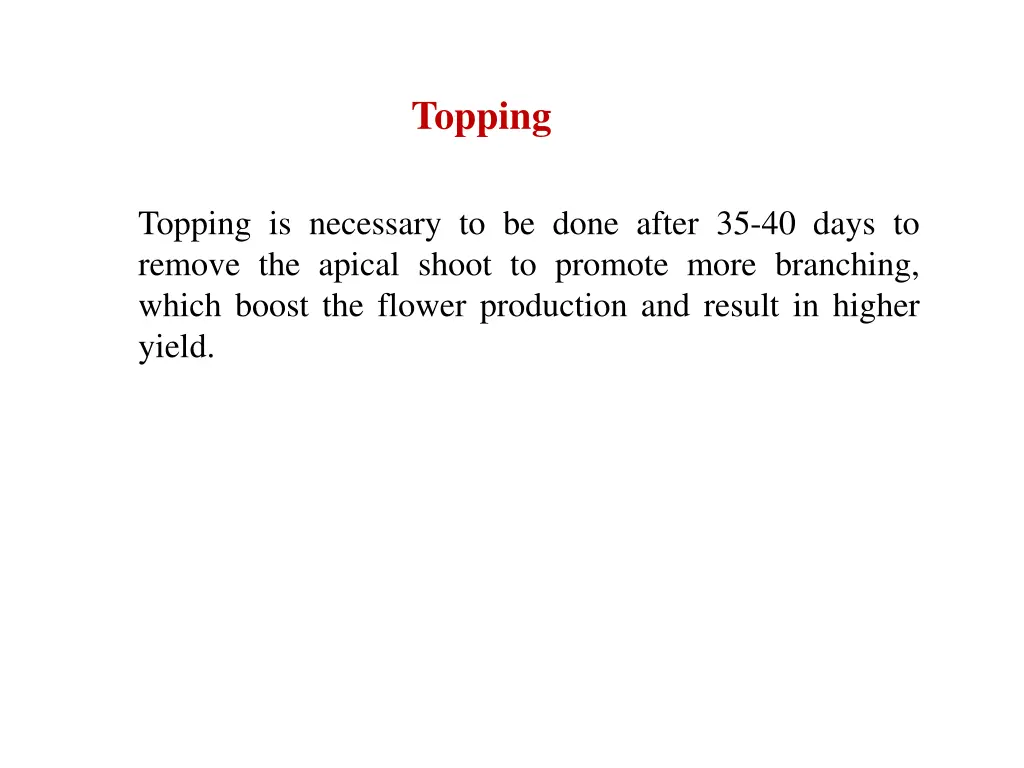 topping