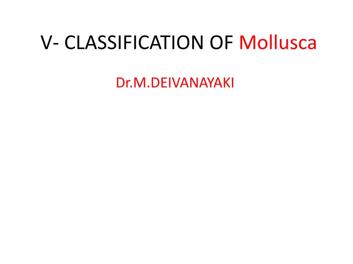 v classification of mollusca