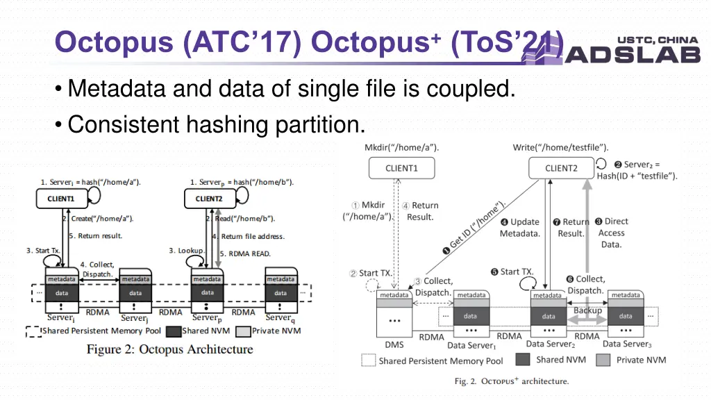 octopus atc 17 octopus tos 21