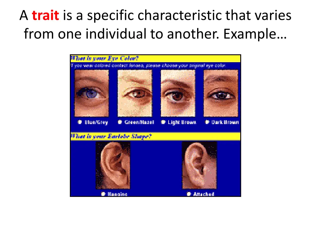 a trait is a specific characteristic that varies