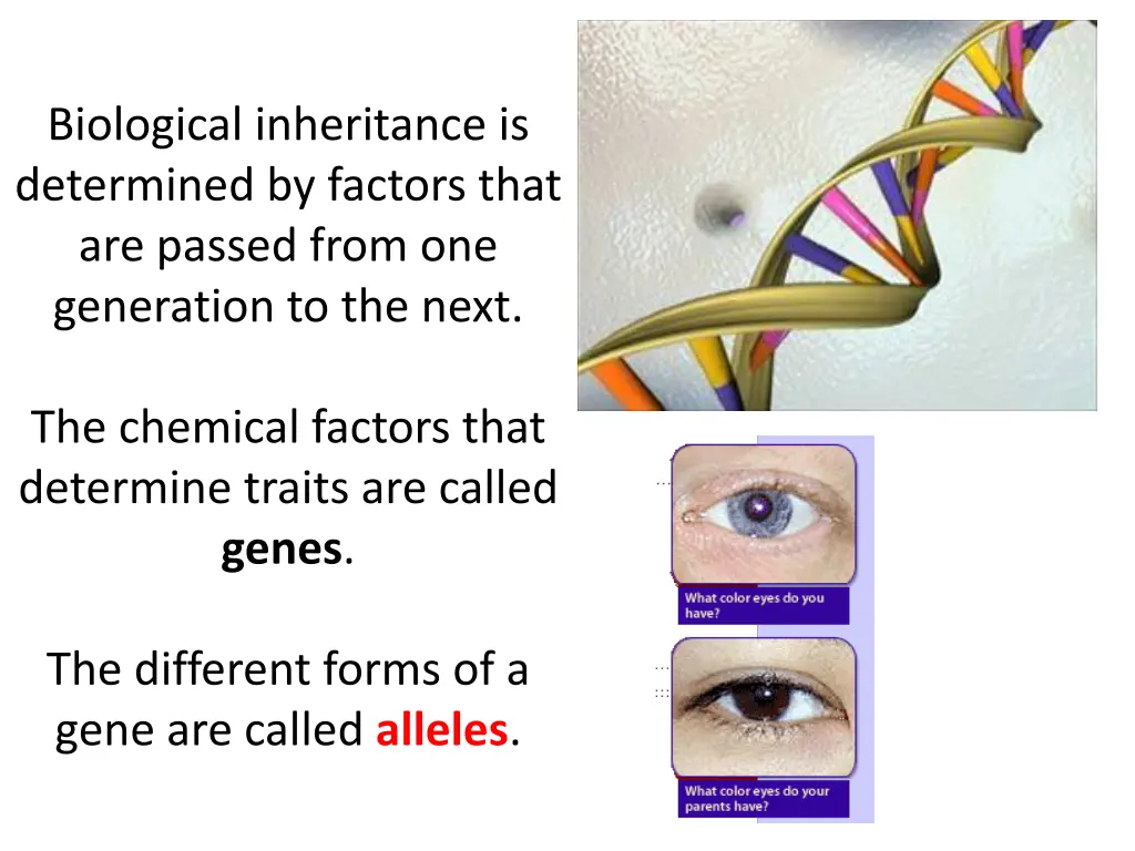 biological inheritance is determined by factors