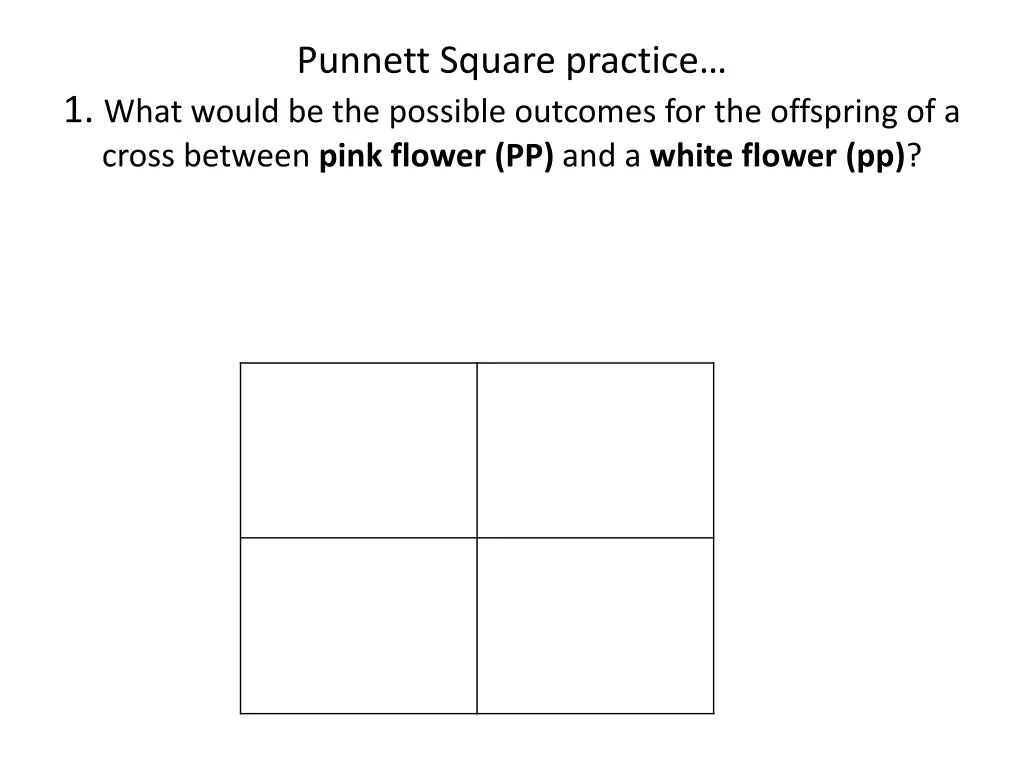 punnett square practice