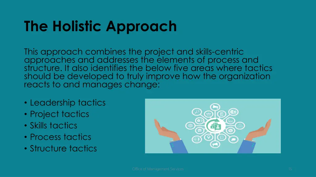 the holistic approach