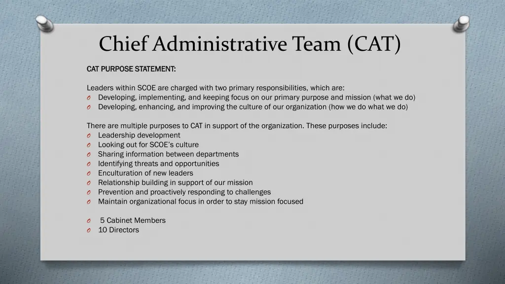 chief administrative team cat