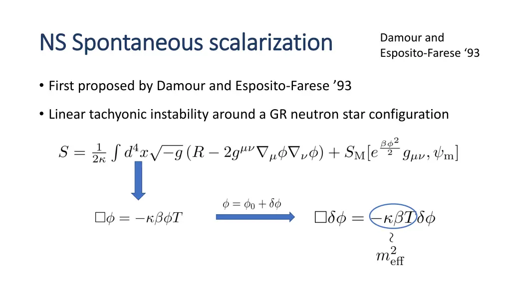 ns spontaneous scalarization ns spontaneous