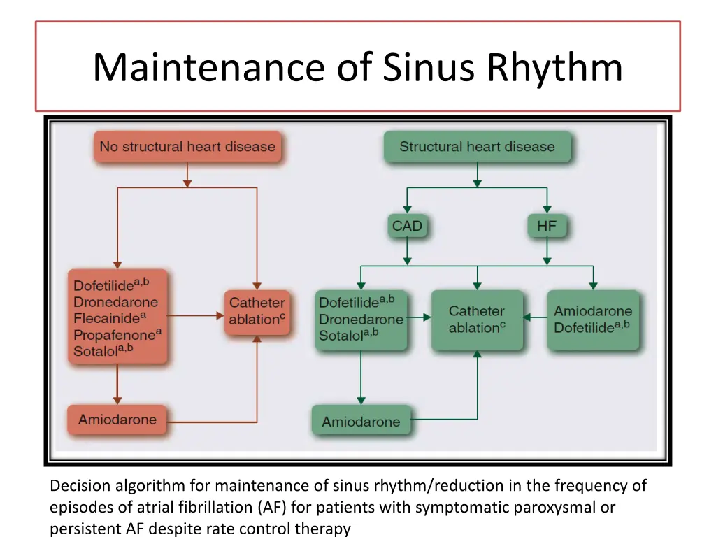 maintenance of sinus rhythm