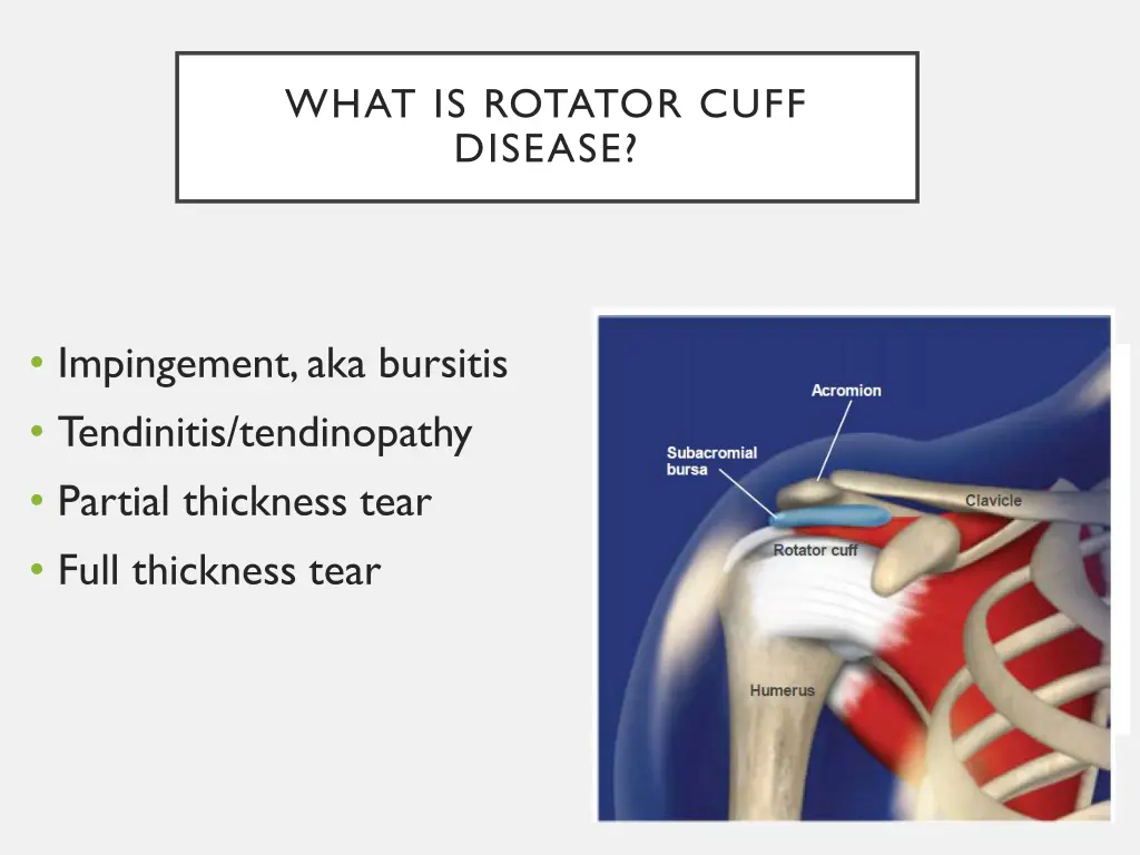 what is rotator cuff disease