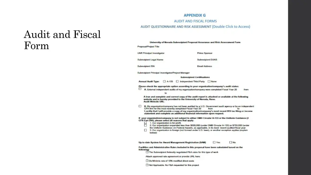 audit and fiscal form