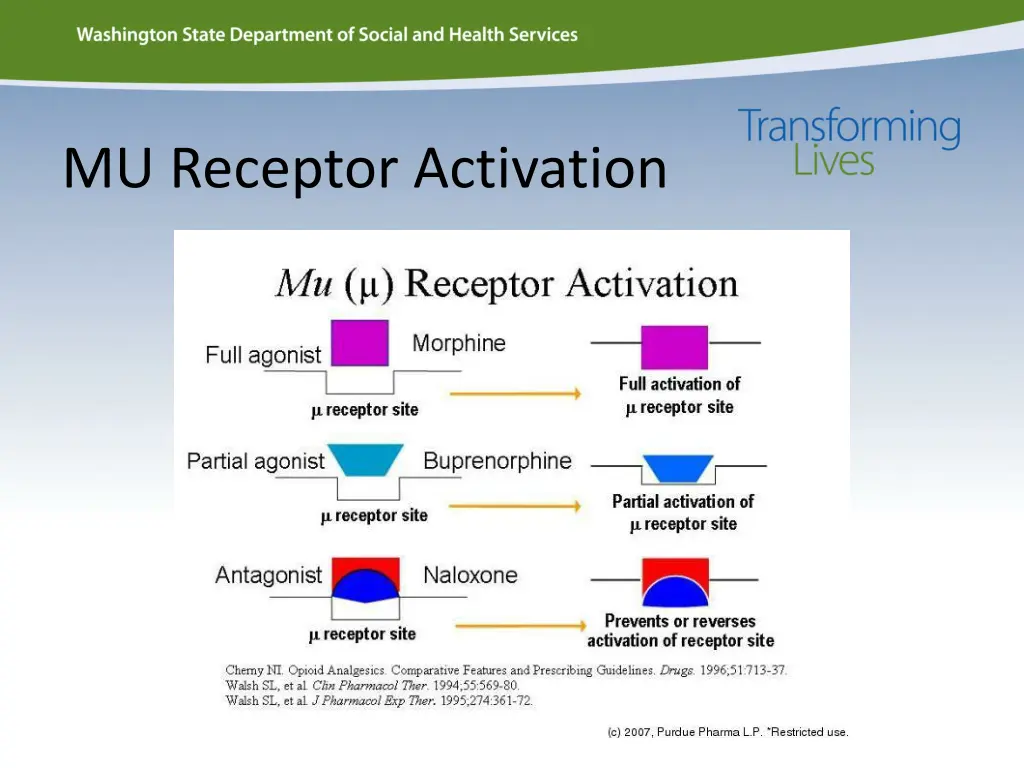 mu receptor activation