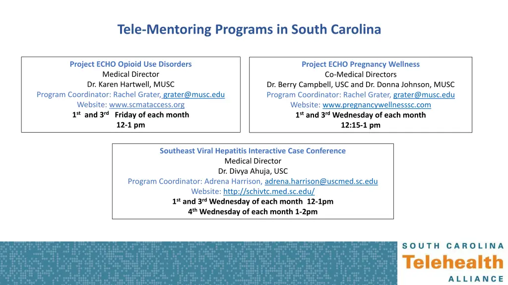 tele mentoring programs in south carolina