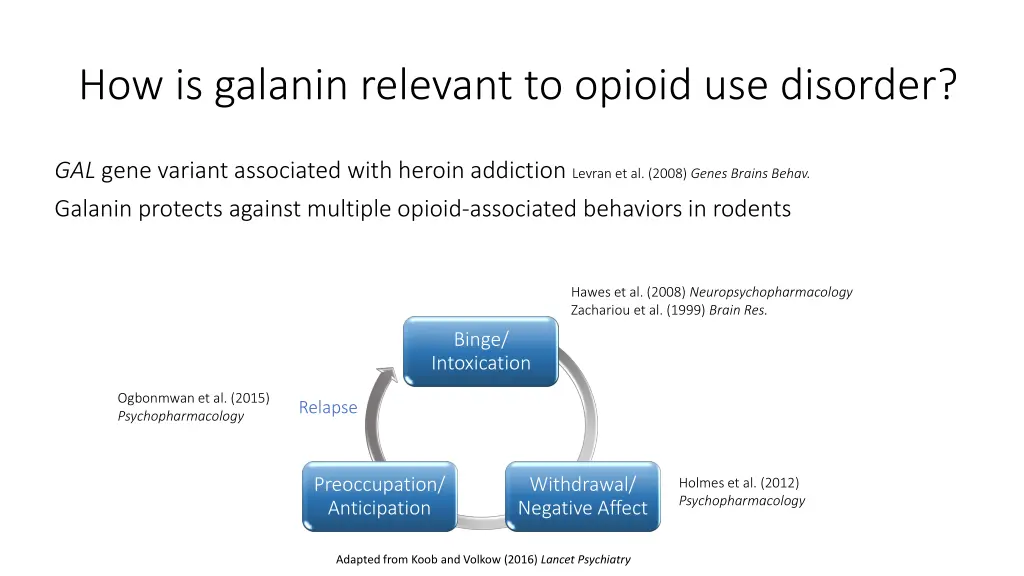 how is galanin relevant to opioid use disorder