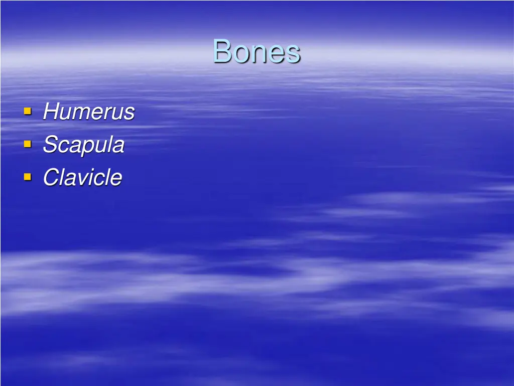 bones